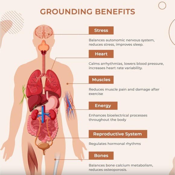 $240 Retail California King Bambuground EarthBalance™ Earthing Sleeping Bed Mat - Picture 4 of 6